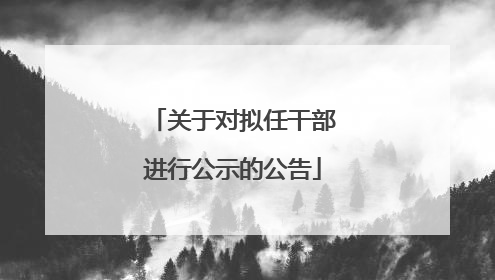 关于对拟任干部进行公示的公告