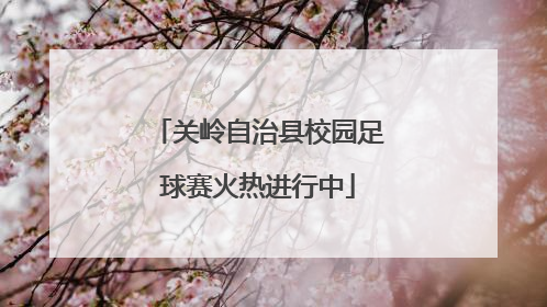 关岭自治县校园足球赛火热进行中