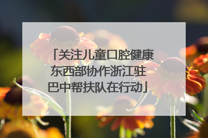 关注儿童口腔健康 东西部协作浙江驻巴中帮扶队在行动