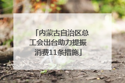 内蒙古自治区总工会出台助力提振消费11条措施