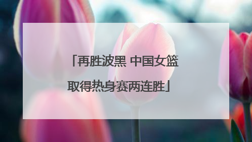 再胜波黑 中国女篮取得热身赛两连胜
