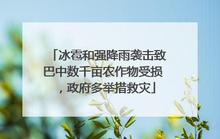 冰雹和强降雨袭击致巴中数千亩农作物受损，政府多举措救灾
