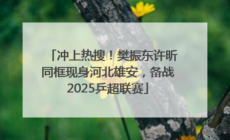 冲上热搜！樊振东许昕同框现身河北雄安，备战2025乒超联赛