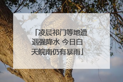 凌晨祁门等地遭遇强降水 今日白天皖南仍有暴雨