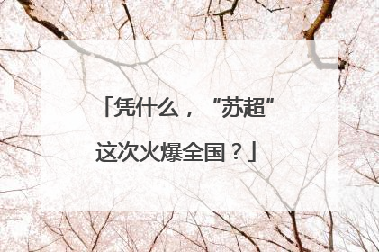 凭什么，“苏超”这次火爆全国？