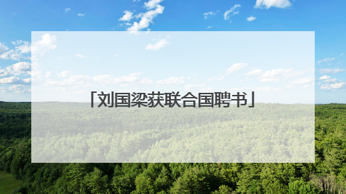 刘国梁获联合国聘书