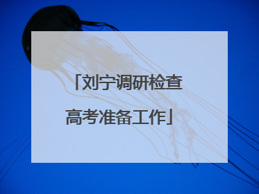 刘宁调研检查高考准备工作
