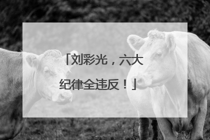 刘彩光，六大纪律全违反！