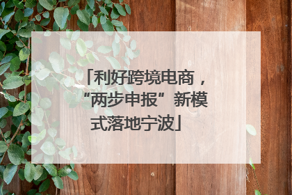 利好跨境电商，“两步申报”新模式落地宁波