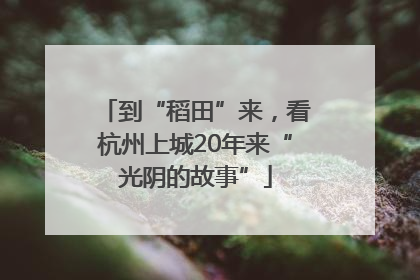 到“稻田”来，看杭州上城20年来“光阴的故事”