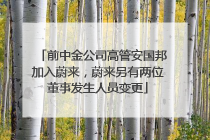 前中金公司高管安国邦加入蔚来，蔚来另有两位董事发生人员变更