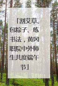 割艾草、包粽子、练书法，黄冈职院中外师生共度端午节