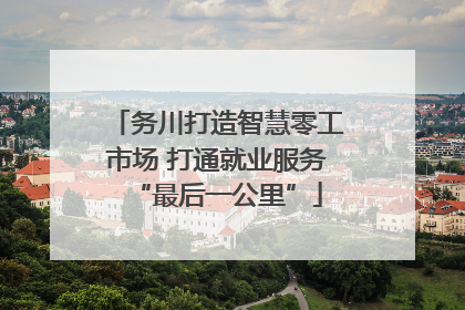 务川打造智慧零工市场 打通就业服务“最后一公里”