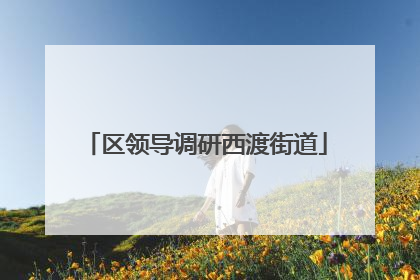 区领导调研西渡街道