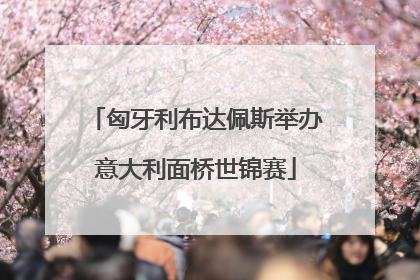 匈牙利布达佩斯举办意大利面桥世锦赛