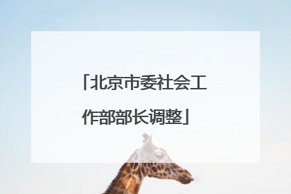 北京市委社会工作部部长调整