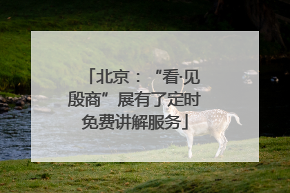 北京：“看·见殷商”展有了定时免费讲解服务