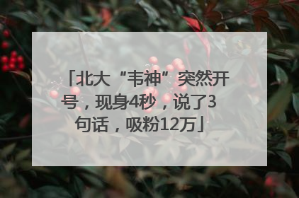 北大“韦神”突然开号，现身4秒，说了3句话，吸粉12万