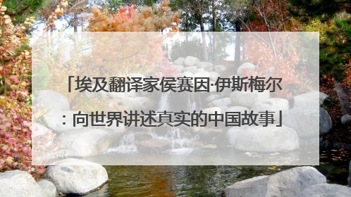 埃及翻译家侯赛因·伊斯梅尔：向世界讲述真实的中国故事