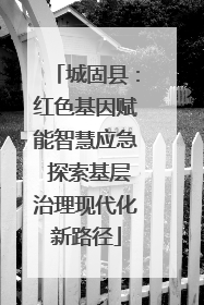 城固县：红色基因赋能智慧应急 探索基层治理现代化新路径