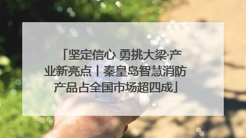 坚定信心 勇挑大梁·产业新亮点丨秦皇岛智慧消防产品占全国市场超四成