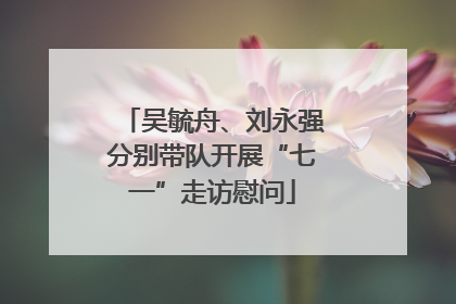 吴毓舟、刘永强分别带队开展“七一”走访慰问