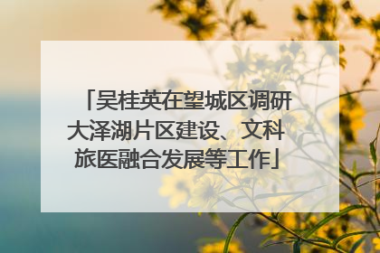 吴桂英在望城区调研大泽湖片区建设、文科旅医融合发展等工作
