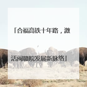 合福高铁十年路，激活闽赣皖发展新脉络