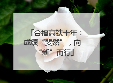 合福高铁十年：成绩“斐然”，向“新”而行