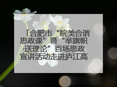 合肥市“皖美合谐思政课”暨“举旗帜·送理论”百场思政宣讲活动走进庐江高新实验学校