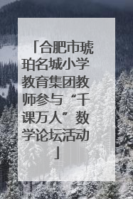 合肥市琥珀名城小学教育集团教师参与“千课万人”数学论坛活动