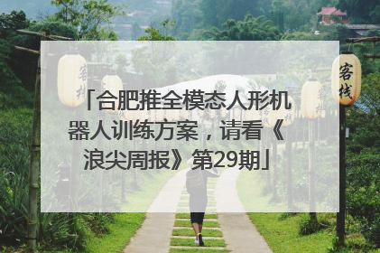 合肥推全模态人形机器人训练方案，请看《浪尖周报》第29期