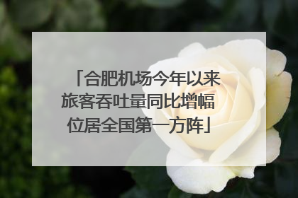 合肥机场今年以来旅客吞吐量同比增幅位居全国第一方阵