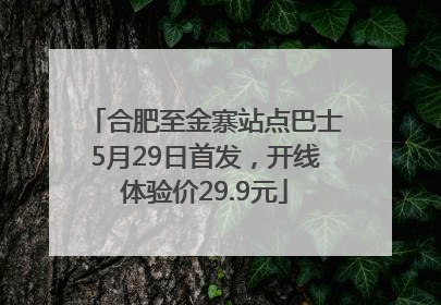 合肥至金寨站点巴士5月29日首发，开线体验价29.9元