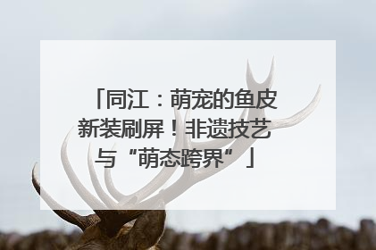 同江：萌宠的鱼皮新装刷屏！非遗技艺与“萌态跨界”