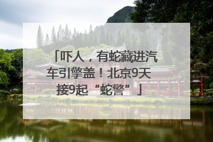 吓人，有蛇藏进汽车引擎盖！北京9天接9起“蛇警”