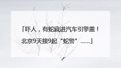 吓人，有蛇藏进汽车引擎盖！北京9天接9起“蛇警”……