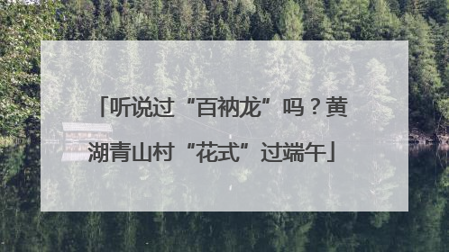 听说过“百衲龙”吗？黄湖青山村“花式”过端午