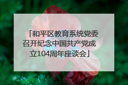 和平区教育系统党委召开纪念中国共产党成立104周年座谈会