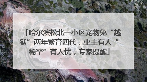 哈尔滨松北一小区宠物兔“越狱”两年繁育四代，业主有人“稀罕”有人忧，专家提醒
