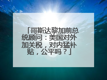 哥斯达黎加前总统顾问：美国对外加关税，对内猛补贴，公平吗？
