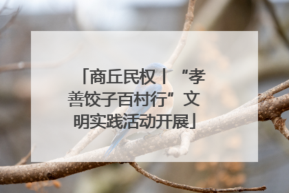 商丘民权丨“孝善饺子百村行”文明实践活动开展