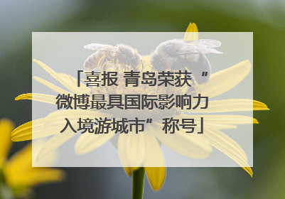 喜报 青岛荣获“微博最具国际影响力入境游城市”称号