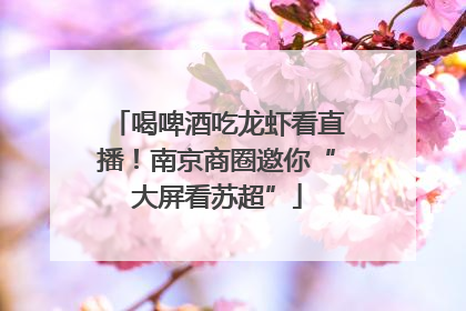 喝啤酒吃龙虾看直播！南京商圈邀你“大屏看苏超”