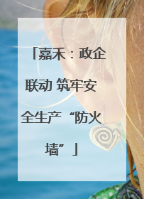 嘉禾：政企联动 筑牢安全生产“防火墙”
