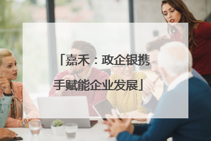 嘉禾：政企银携手赋能企业发展