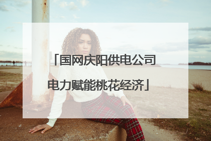 国网庆阳供电公司电力赋能桃花经济