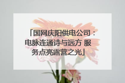 国网庆阳供电公司：电脉连通诗与远方 服务点亮露营之光
