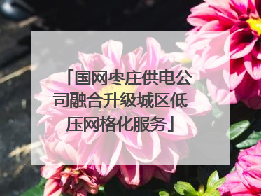 国网枣庄供电公司融合升级城区低压网格化服务