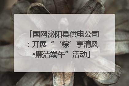 国网泌阳县供电公司：开展“‘粽’享清风 •廉洁端午”活动